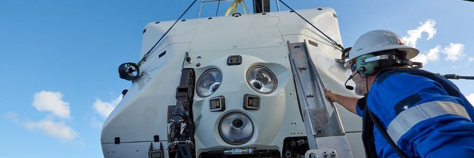 _108390235_limitingfactorreevejolliffe