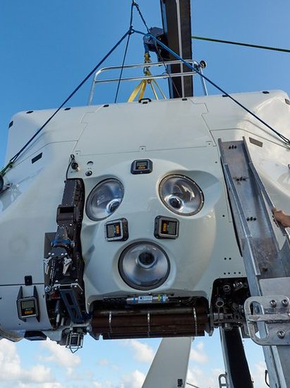 _108390235_limitingfactorreevejolliffe